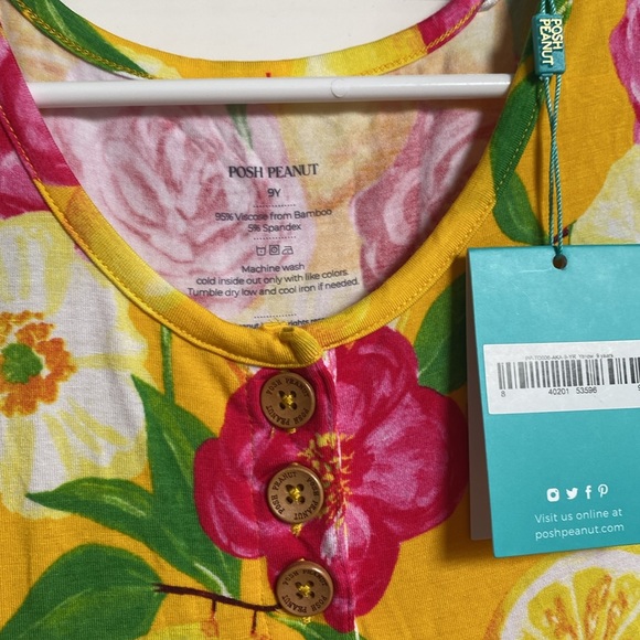 Posh peanut NWT twirl dress - Picture 2 of 3